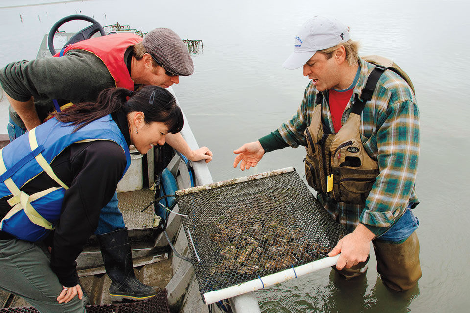 DM2009_054_DIG1.jpg